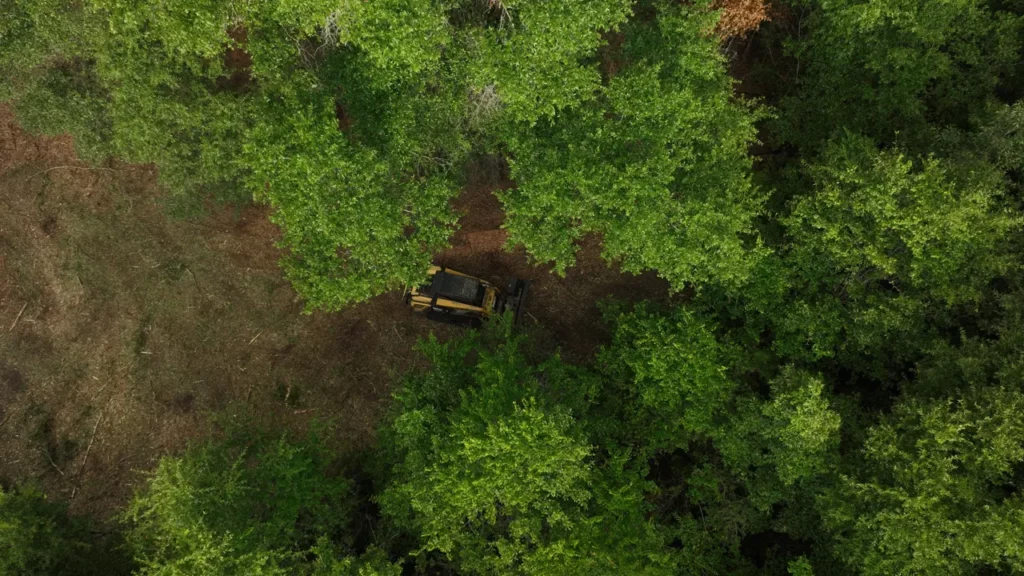 Drone view of the mulcher cutting a clearing into thick green woods