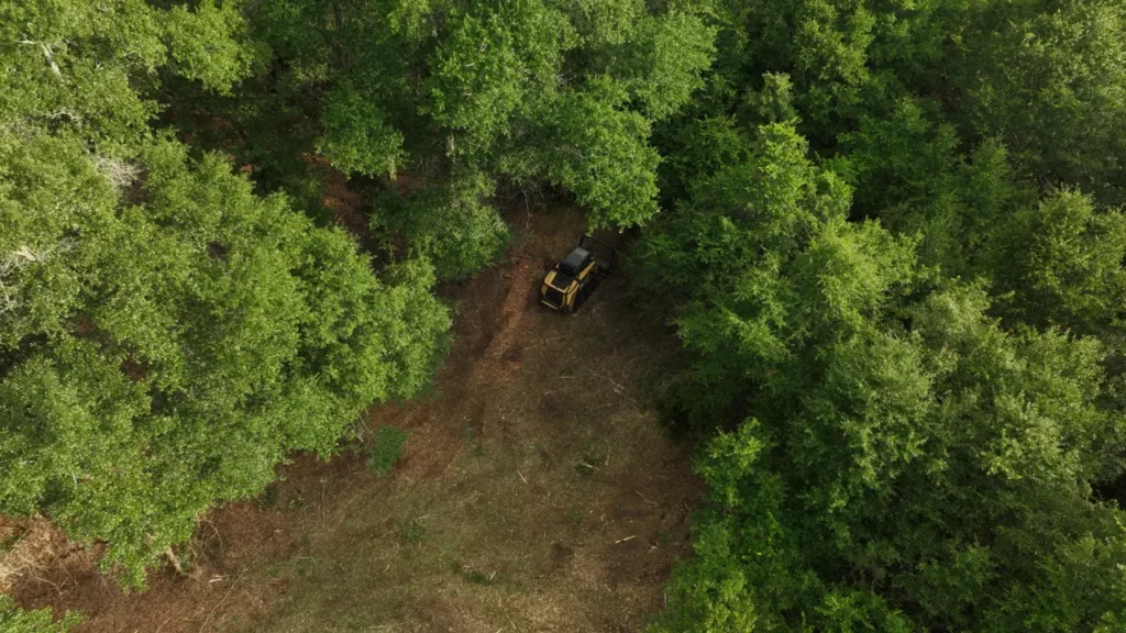 Drone view looking straight down on the mulcher in a fresh clearing