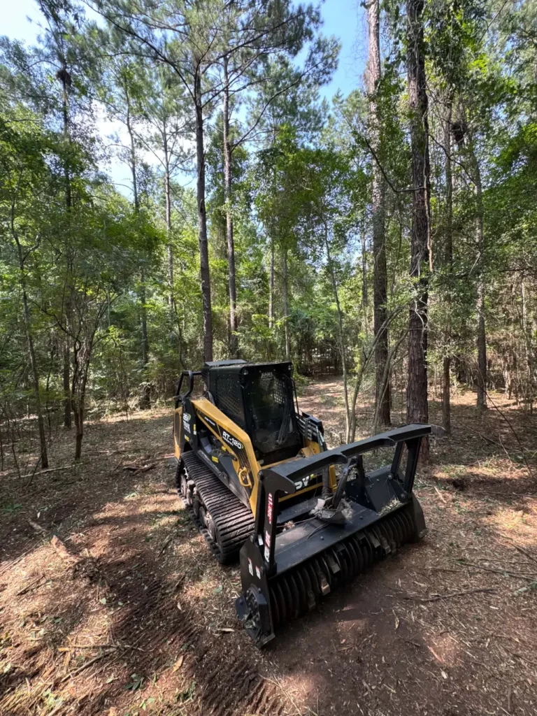 Forestry mulcher parked in a pine stand after clearing the understory